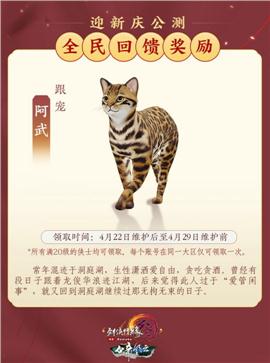 天龙八部私服rmb